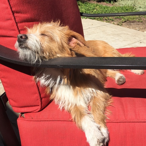 Meet your Posher, Felice - Picture 2 of 2